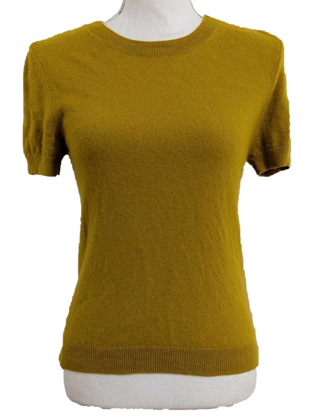 Quince Mongolian Cashmere Tee in Spicy Mustard